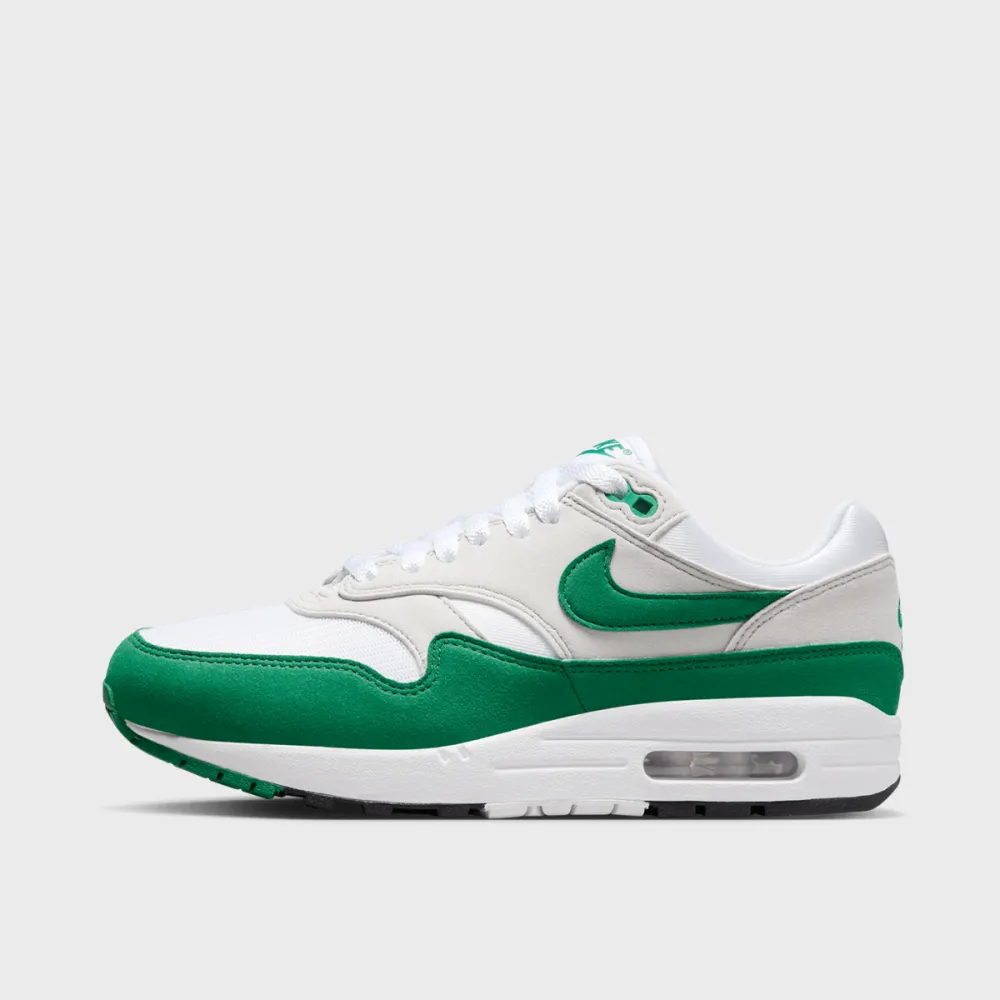 Nike Air Max 1 DZ2628-003 / grau