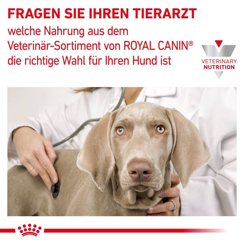 Royal Canin Veterinary Canine Diabetic Special Low Carb Mousse