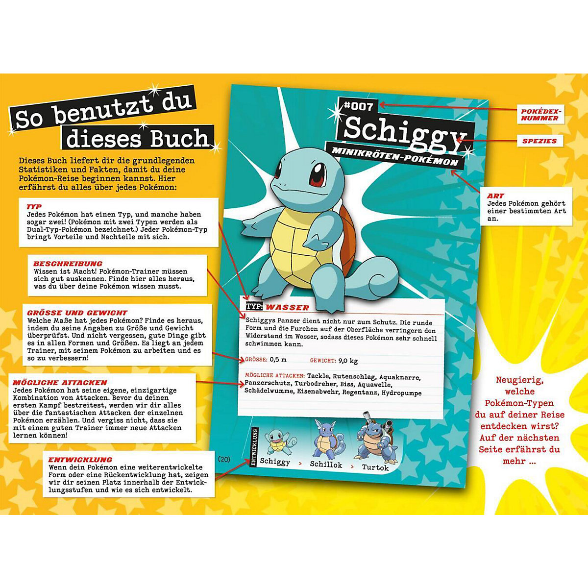 Pokémon: Der ultimative Guide