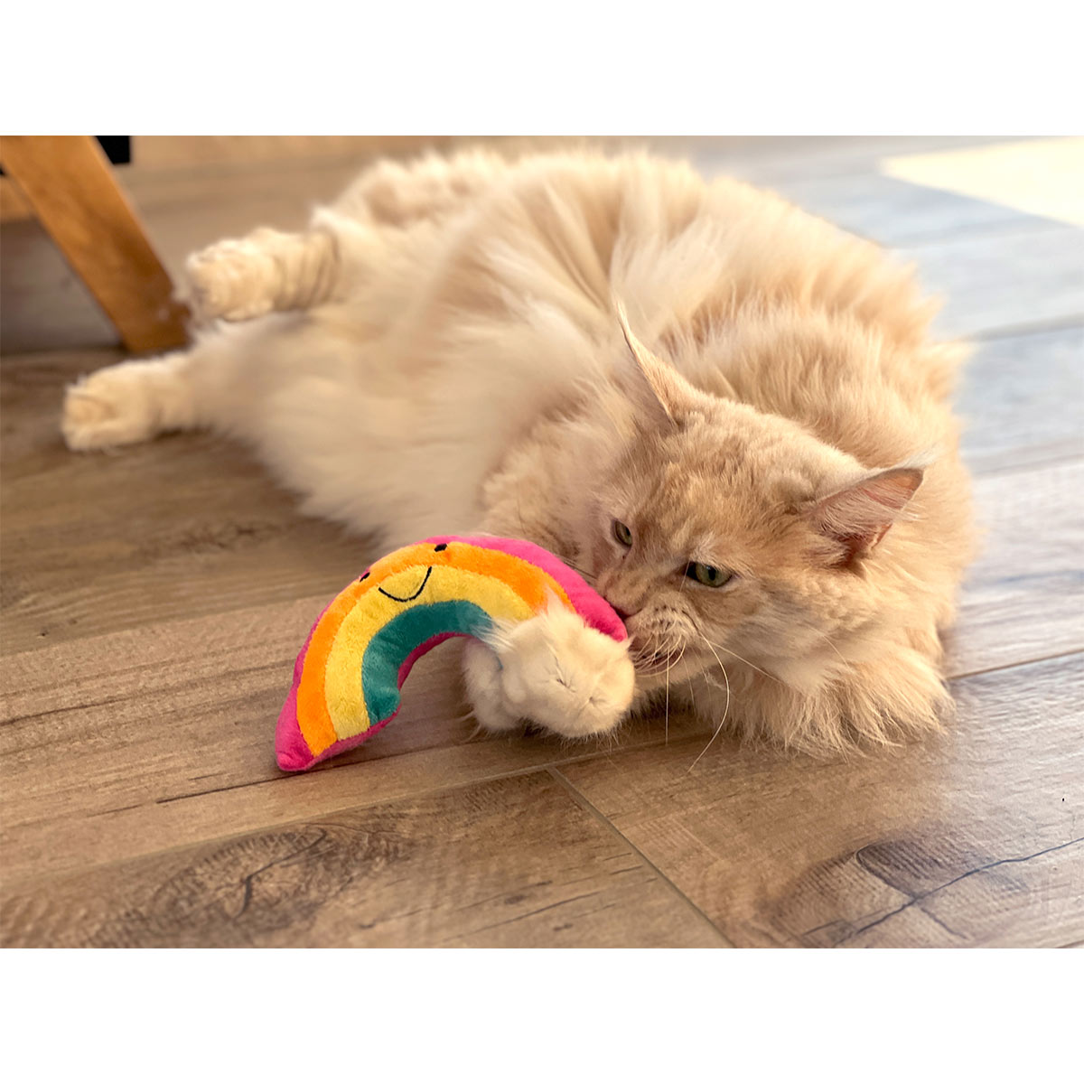 Aumüller Katzenspielkissen Regenbogen günstig kaufen