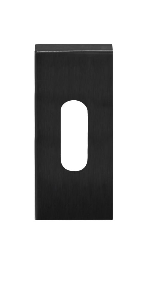 Formani 1501N085IGXX0 BASICS SQUARE LSQBN32 rechteckige Tastenplatte PVD-Gunmetal
