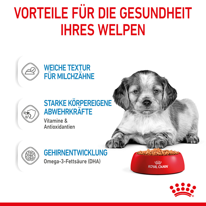 ROYAL CANIN Hundenassfutter ROYAL CANIN Medium Puppy 10x140g