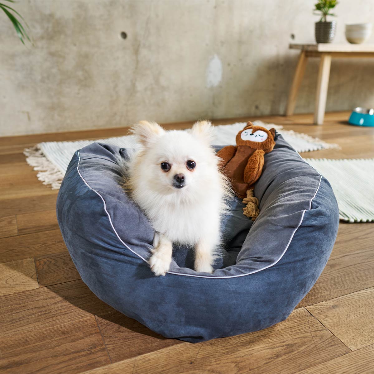 ZooRoyal Hundebett Balou günstig kaufen