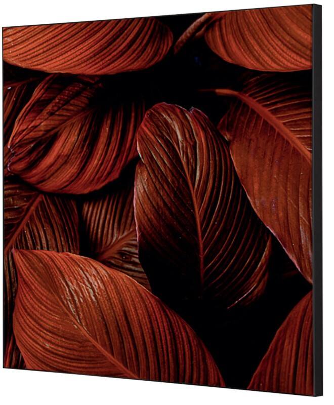 SHOWDOWN Textile Wanddekoration Botanische Blätter Mehrfarbig Aluminium