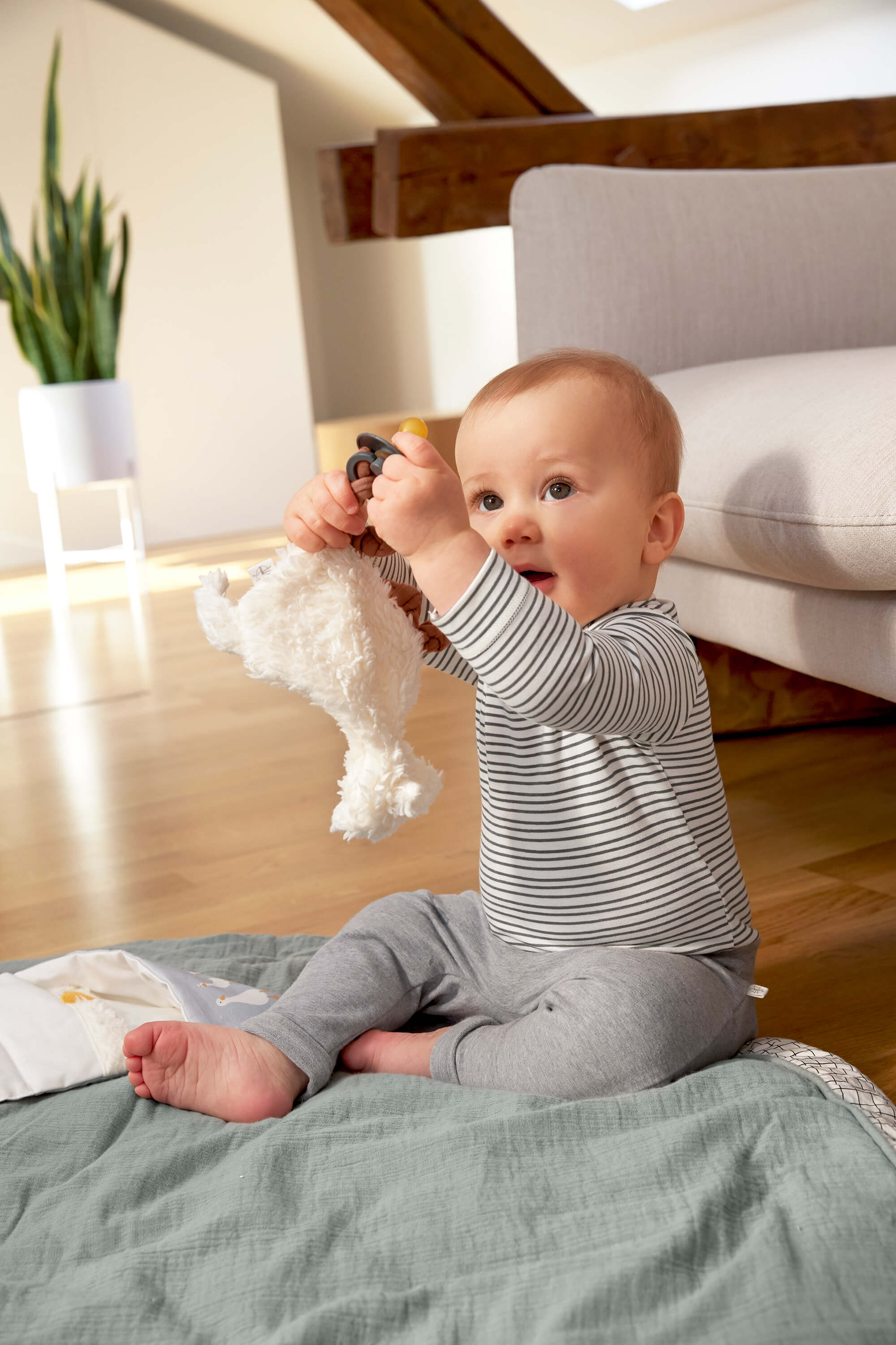 Baby Body langarm - Bio Baumwolle, Streifen, Grau