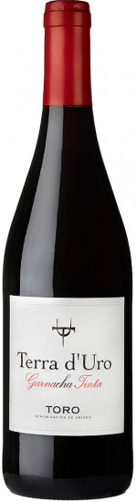 2021 Picio Garnacha Toro DO trocken - Hacienda Terra D'uro