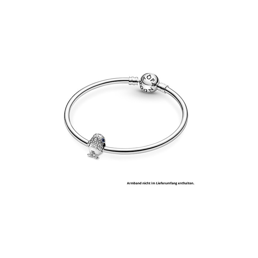 Pandora Charm Moments