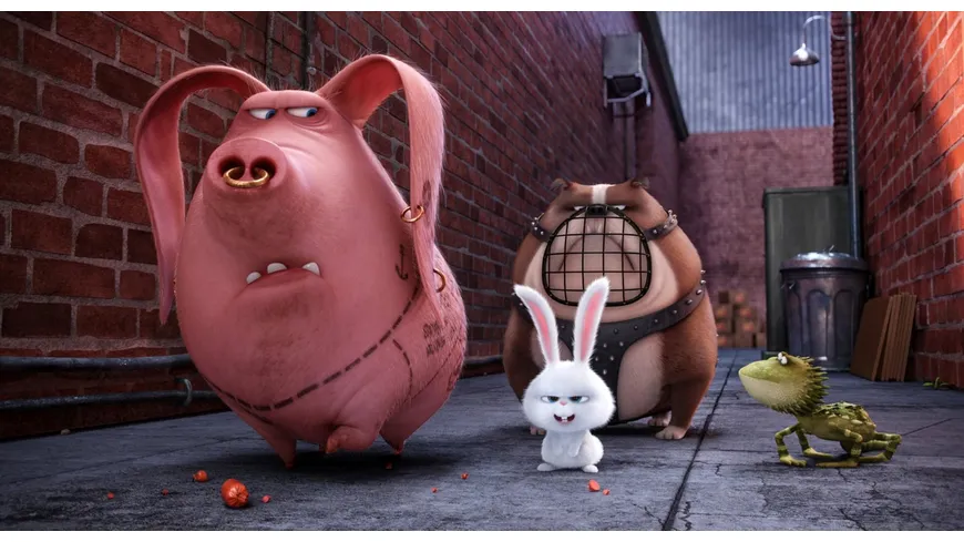 Pets (Illumination)