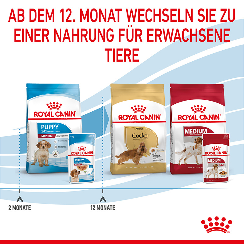 ROYAL CANIN Hundenassfutter ROYAL CANIN Medium Puppy 10x140g