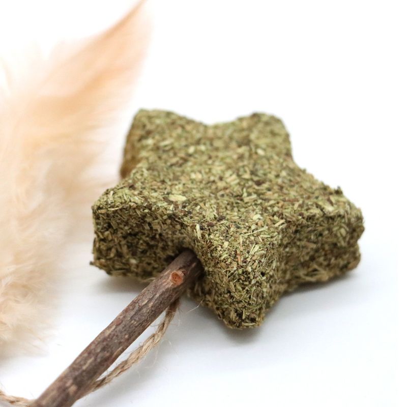 Croci Euphoria Stick Star mit Katzenminze zu TOP-Preisen | bitiba