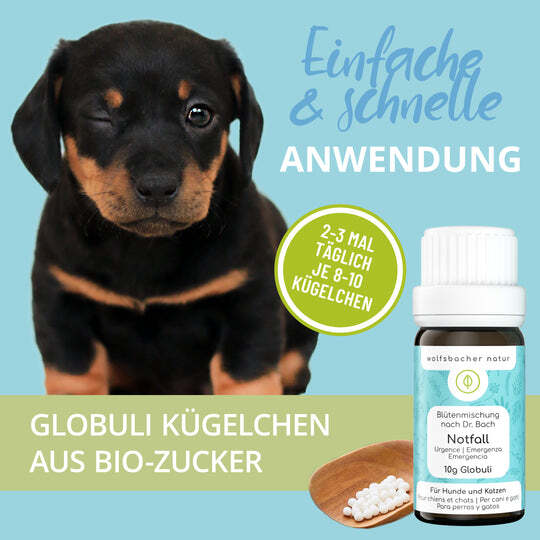 Wolfsbacher Natur Ergänzungsfutter & Aufzucht Wolfsbacher Natur Bachblüten Notfall