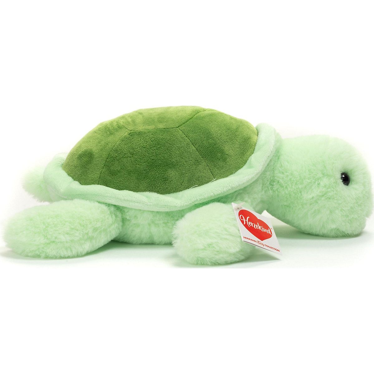 Schildkröte Sandy 30 cm