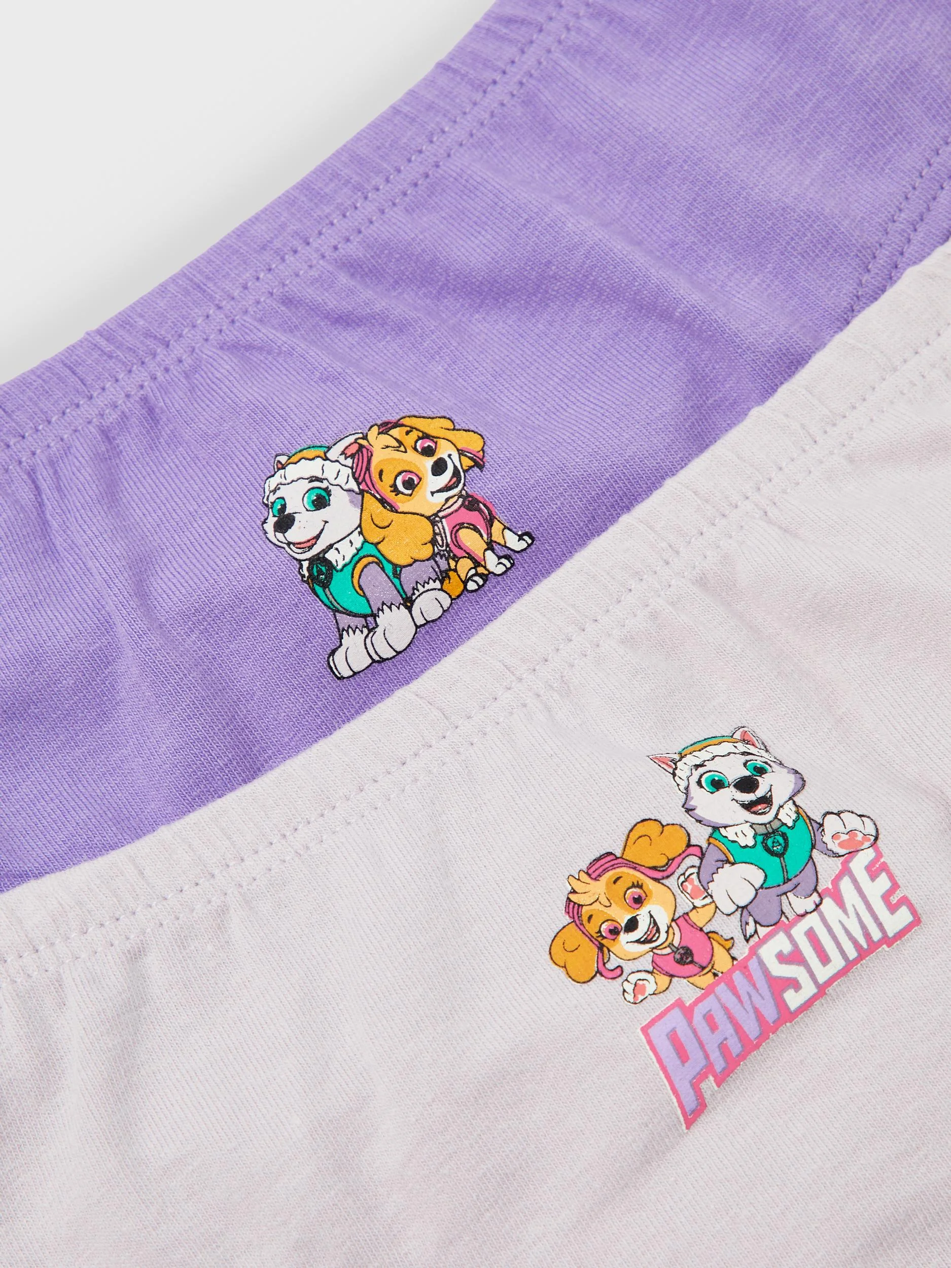 Name it NMFJUMA PAWPATROL 2PACK - Calzoncillos