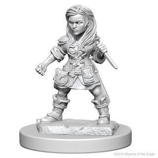 Halfling Female Rouge: D&D Nolzurs Marvelous Unpainted Minis