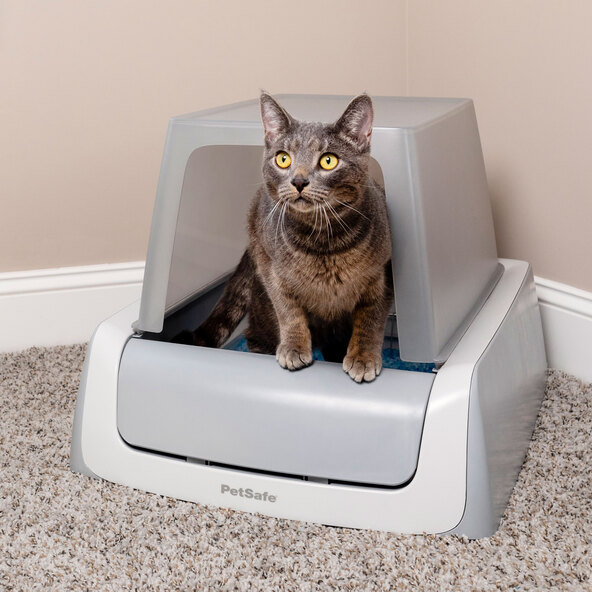 Selbstreinigende Katzentoilette ScoopFree mit Haube