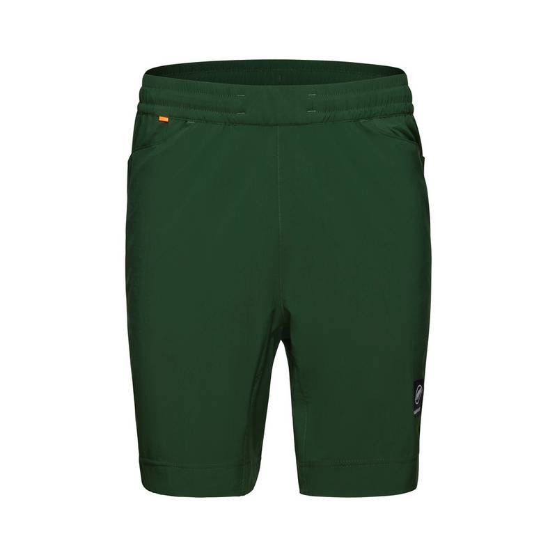 Mammut Massone Sport Shorts Herren