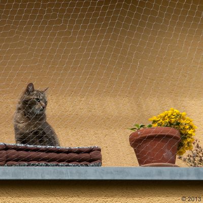 Katzenschutznetz transparent
