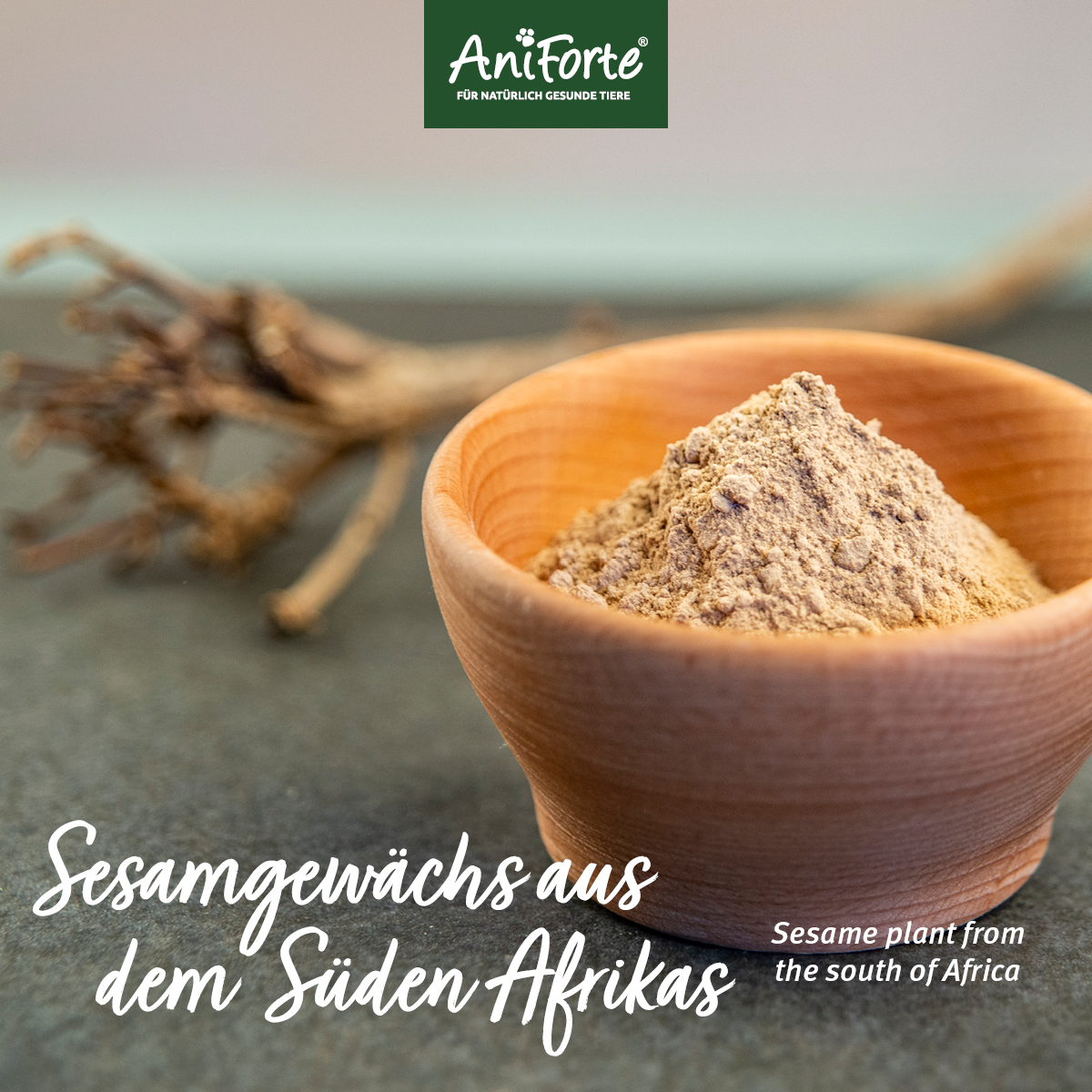 Aniforte Ergänzungsfutter & Aufzucht Aniforte Teufelskralle Pulver 250 g