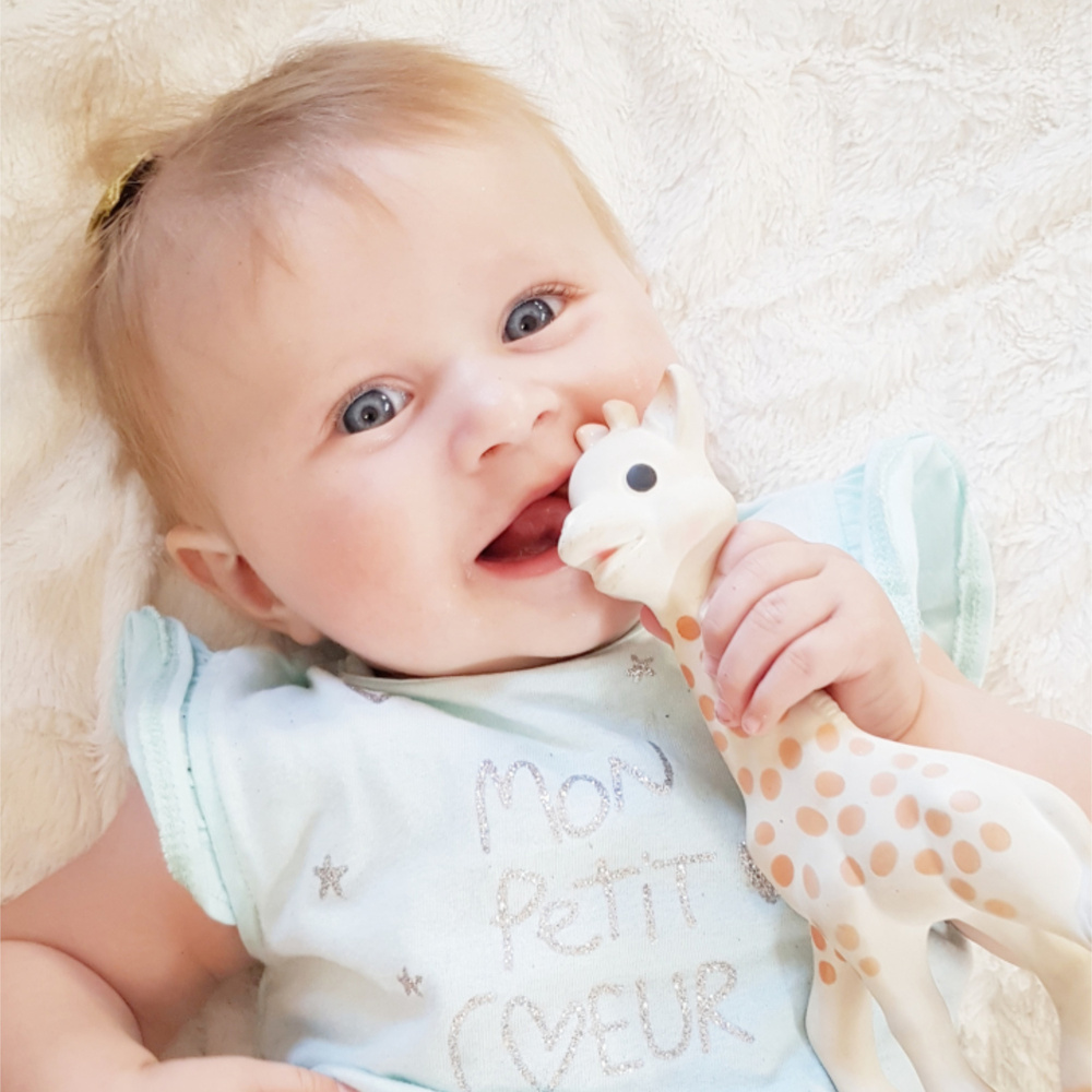 sophie la girafe Coffret Sophie la Girafe et Chewing rubber Collection So'Pure