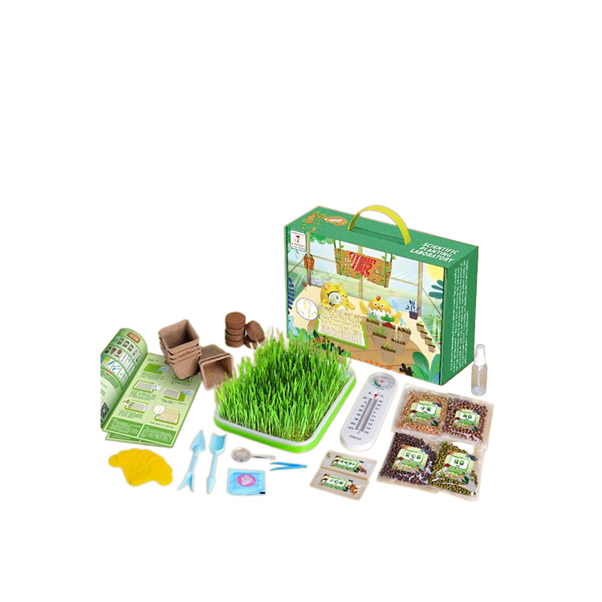 DIY Topfpflanzen Spielzeug für Kinder Experimentierset Pflanzenkunde für Kinder Experimentierkästen