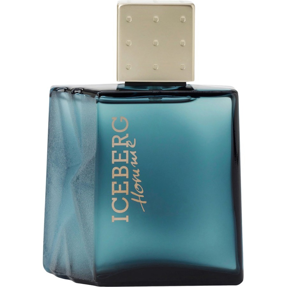 Iceberg Classic Homme Eau de Toilete Spray Eau de toilette