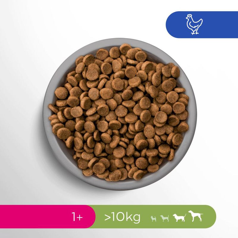 Perfect Fit Adult Hund (>10kg)