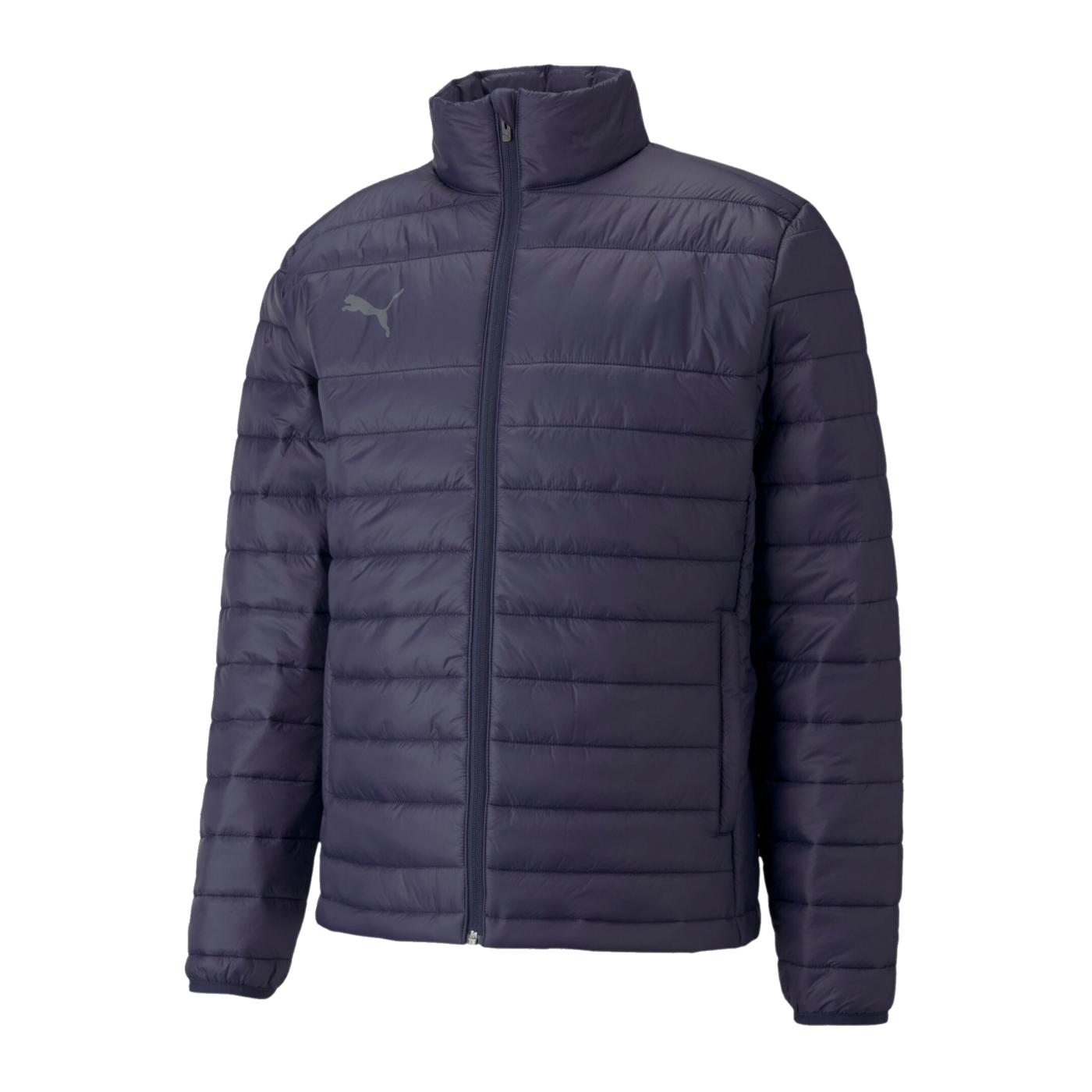 PUMA teamLIGA Light Jacke Blau F06