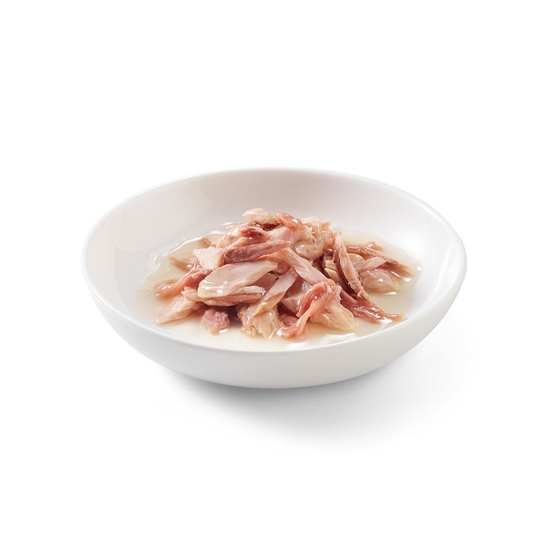 Sparpaket Schesir Natural mit Reis 24 x 85 g