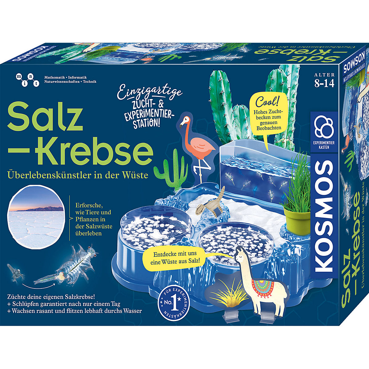 Salzkrebse