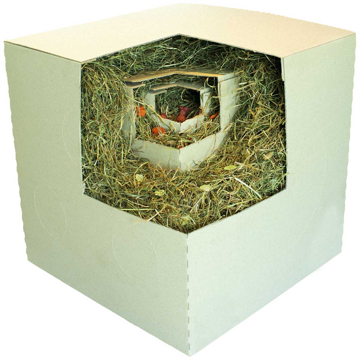 JR Farm PlasticFree Surprise-Box 1,75kg kaufen