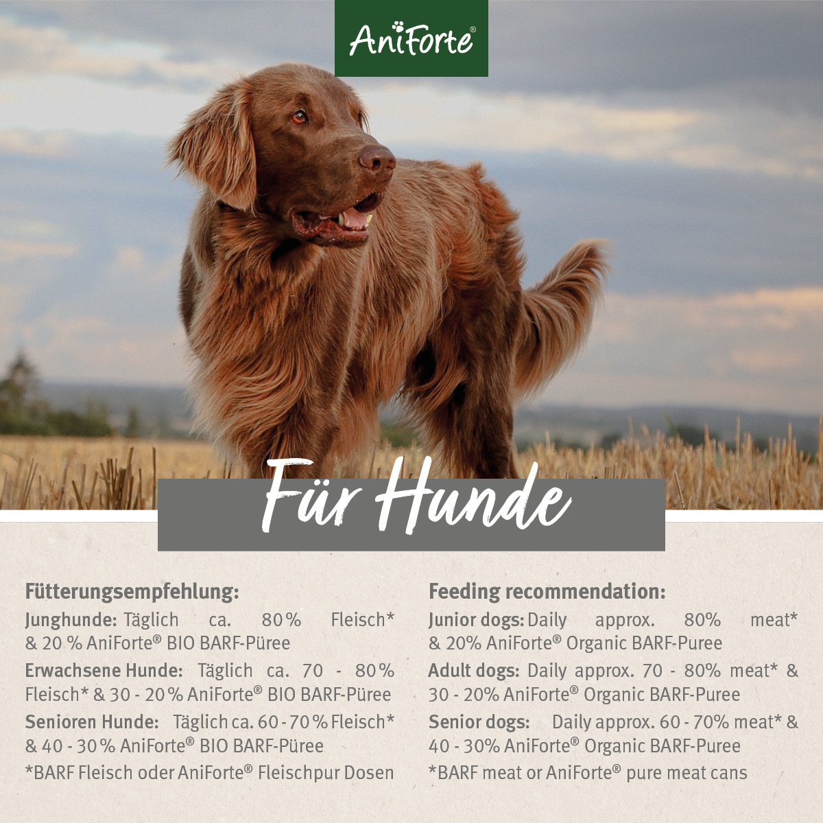 Aniforte Ergänzungsfutter & Aufzucht Aniforte BIO BARF Püree - Fenchel & Mango 5 x 150g