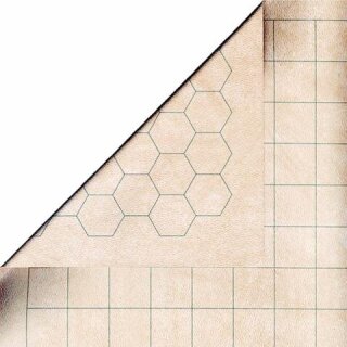 Reversible Chessex Battlemat 1
