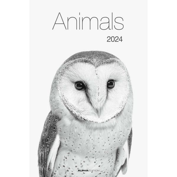 ANIMALS 2024 - FOTO-KALENDER - POSTER-KALENDER - Kalender