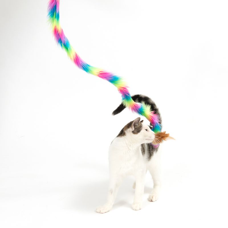 Katzenangel Unicorn zu TOP-Preisen