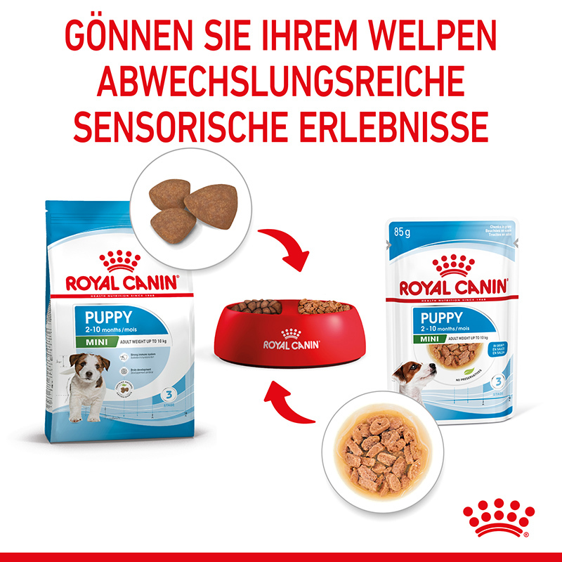 ROYAL CANIN Hundenassfutter ROYAL CANIN Mini Puppy 12x85g