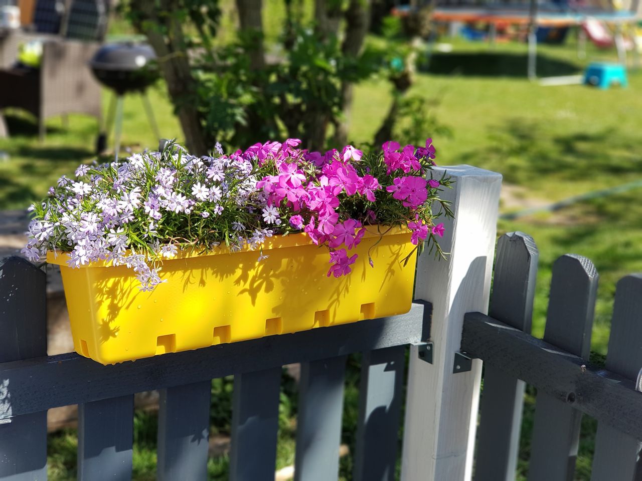 GreenLife Blumen- / Kräuterbox 5 Stück, gelb, terrabraun