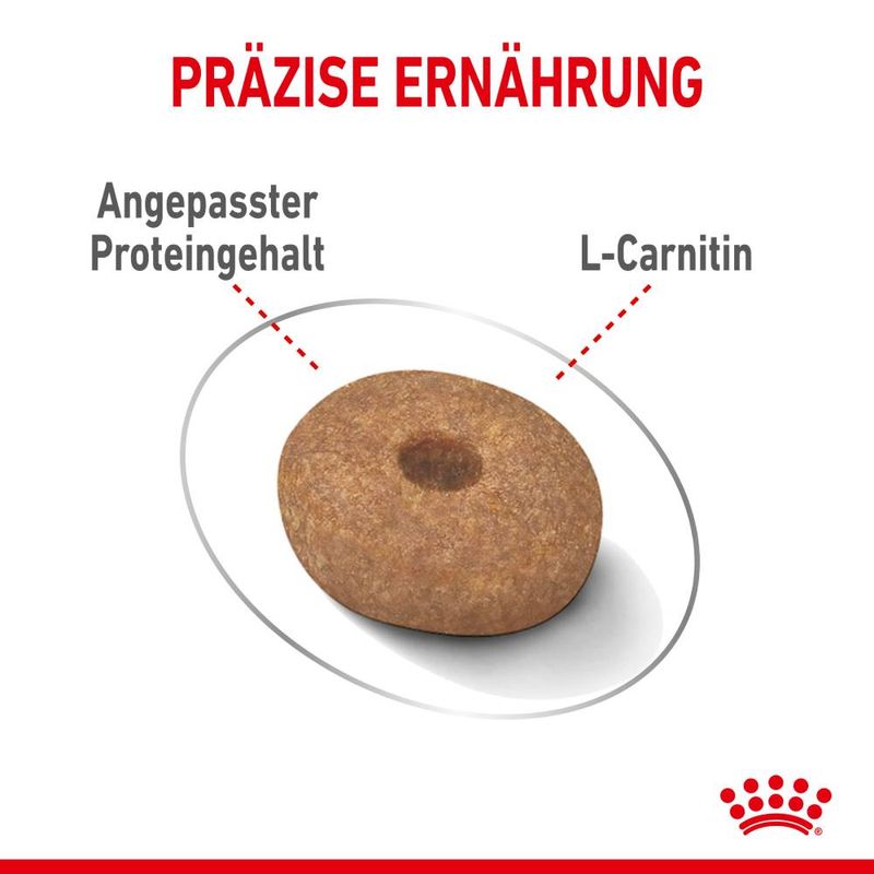 Royal Canin Mini Light Weight Care