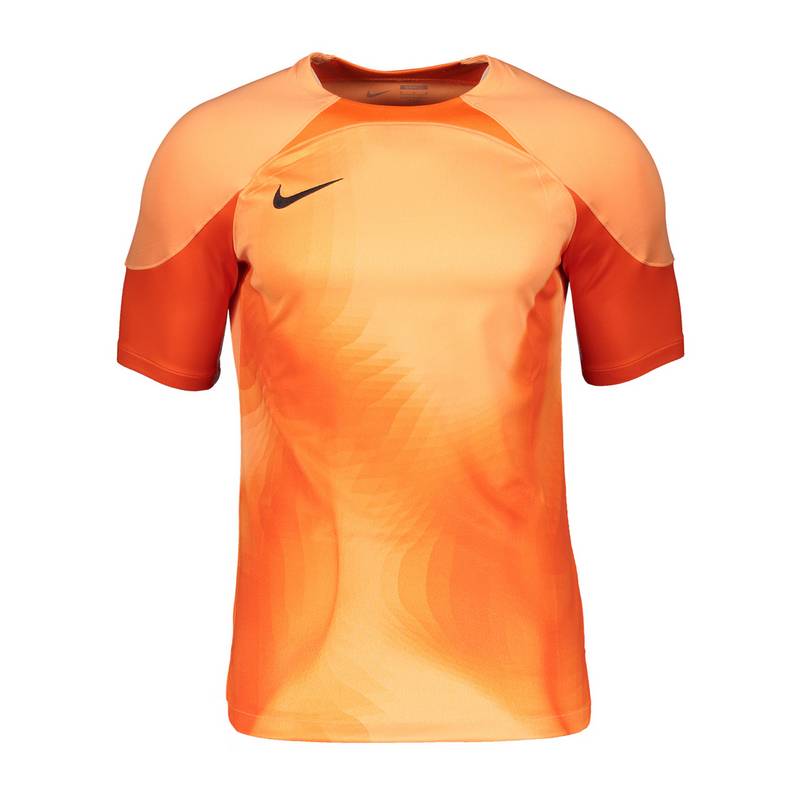 Nike Gardien IV Torwarttrikot Trikot
