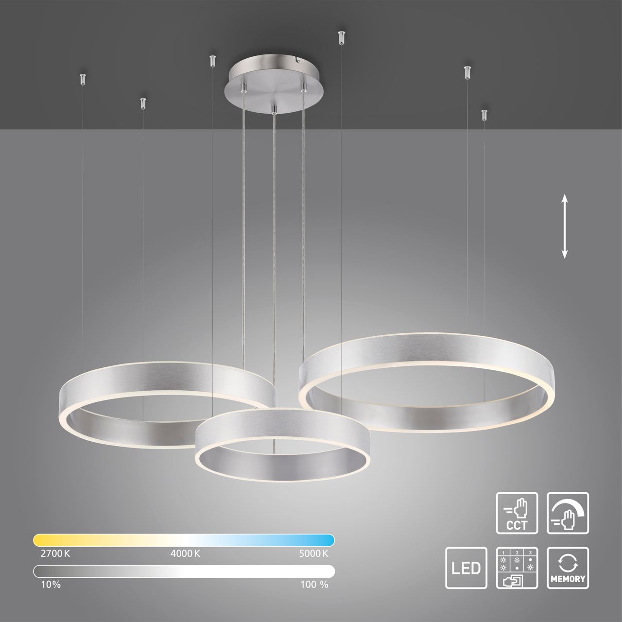 Paul Neuhaus LED Pendelleuchte SCULLI, CCT, dimmbar, separat schaltbar, Stahl