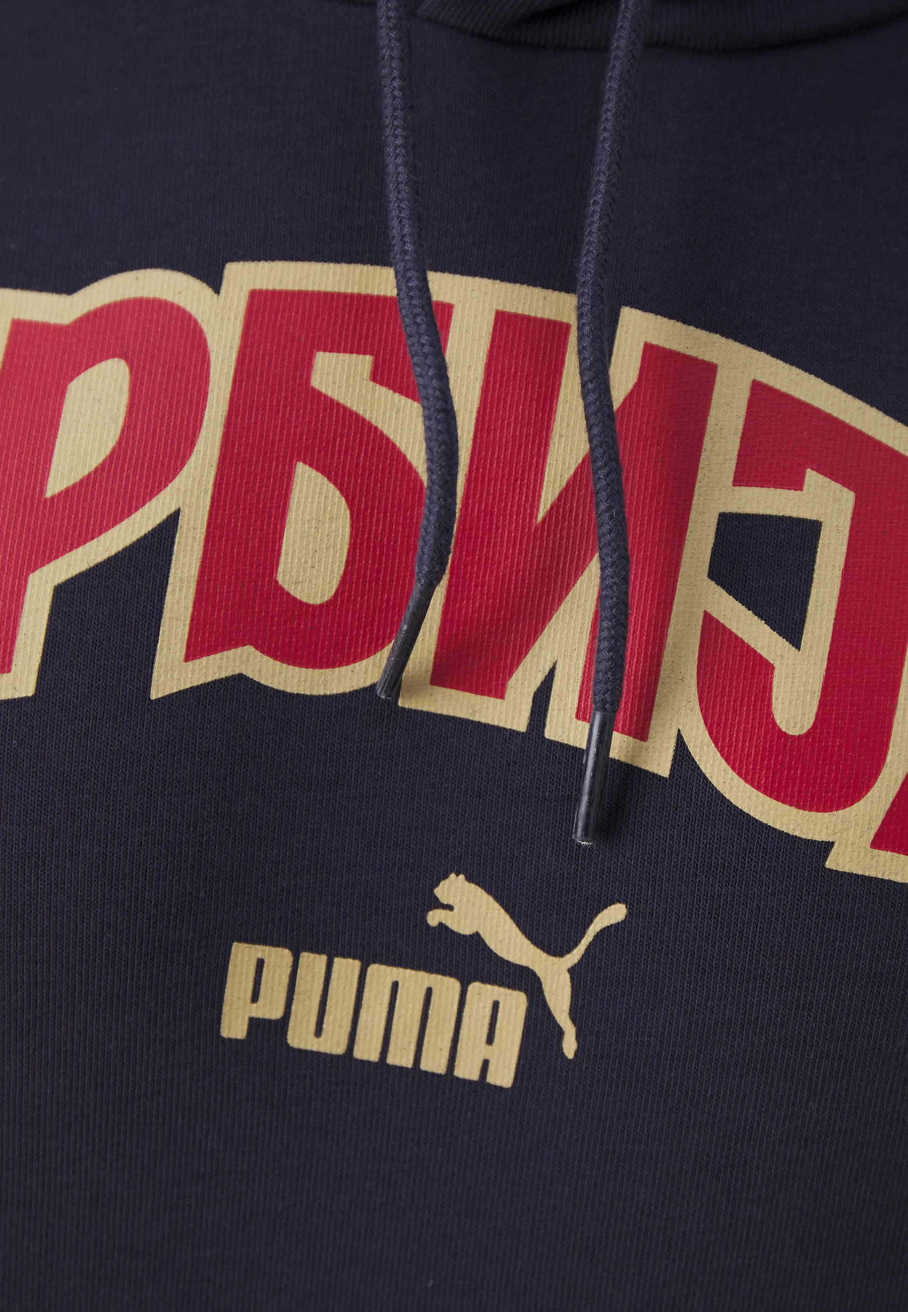 Sudadera con capucha Puma SERBIA FSS FTBLICONS - Sudadera con capucha