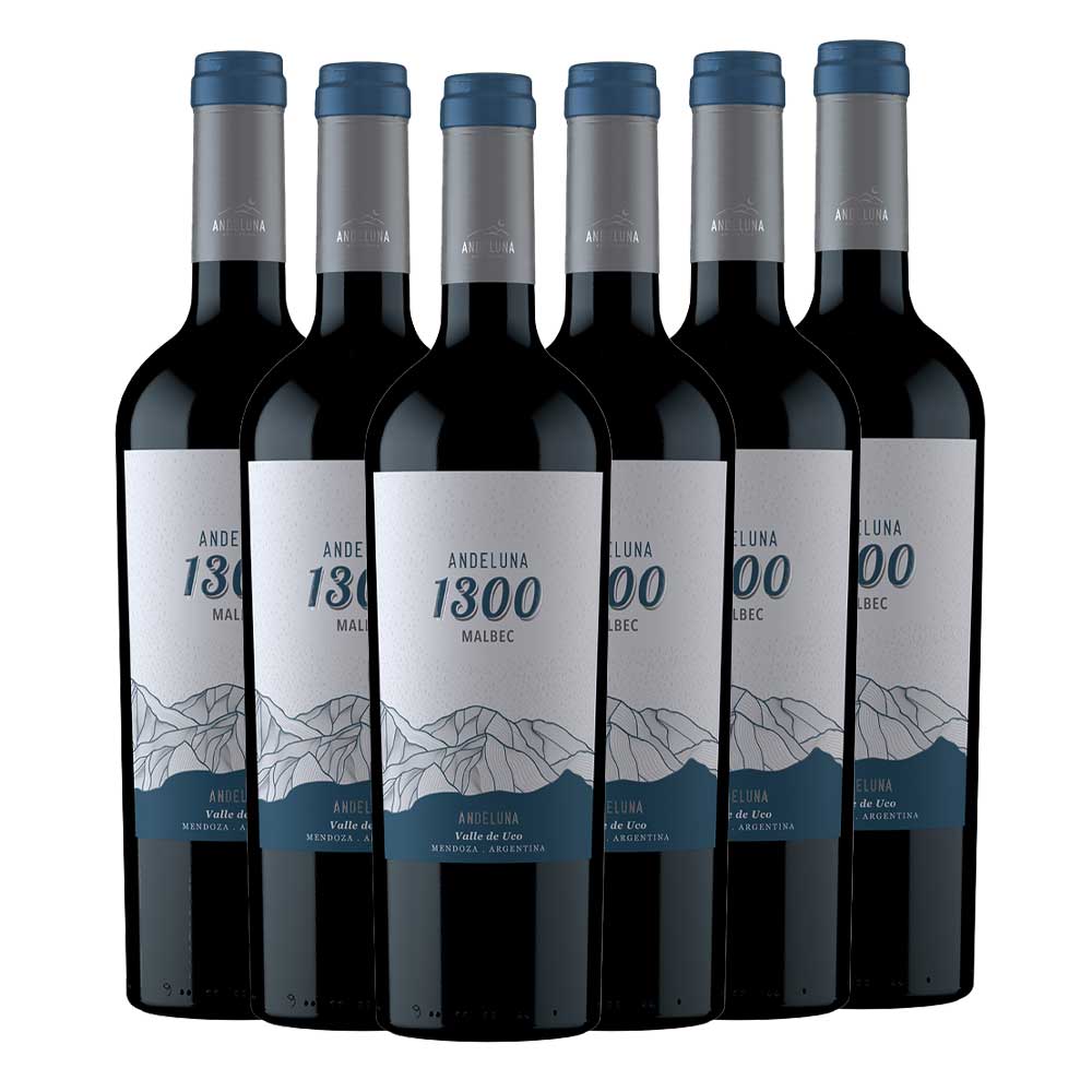 Andeluna Cellars SRL Malbec Andeluna 1300 - 6er Karton
