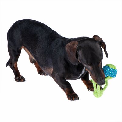Hundespielzeug Limoen Seil & Ball