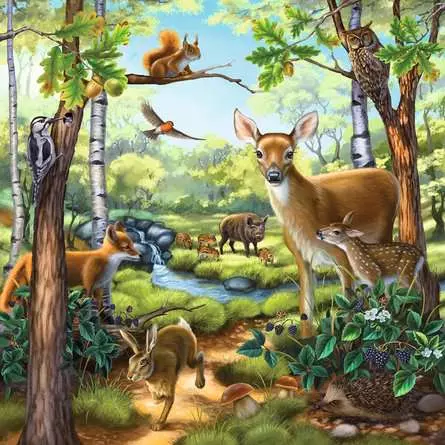Kinderpuzzle ab 5 Jahren - Wald-/Zoo-/Haustiere - 49 Teile