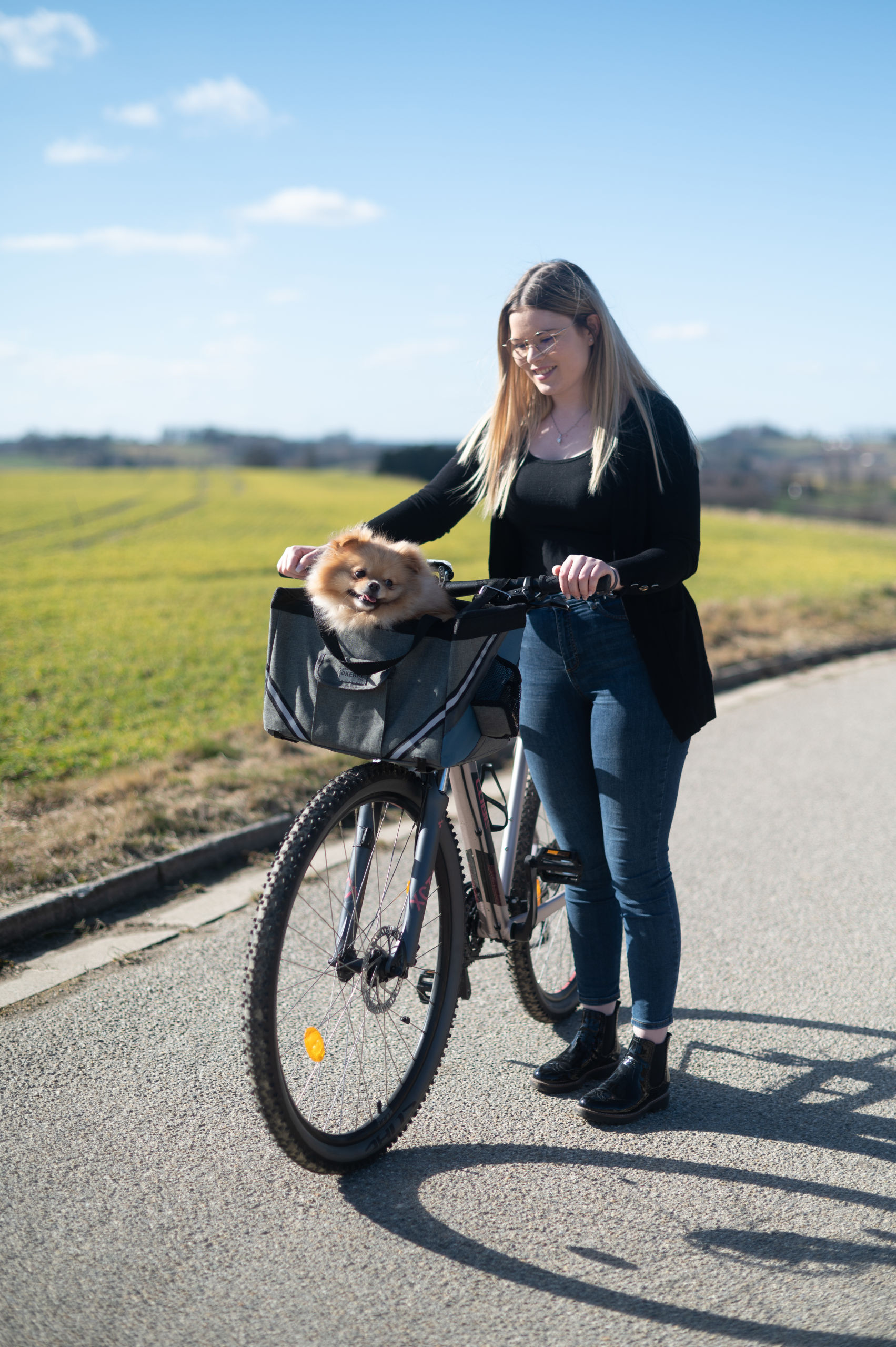 Kerbl Tragetaschen Kerbl Pet Fahrradtasche Vacation für kleine Hunde, Grau/Blau
