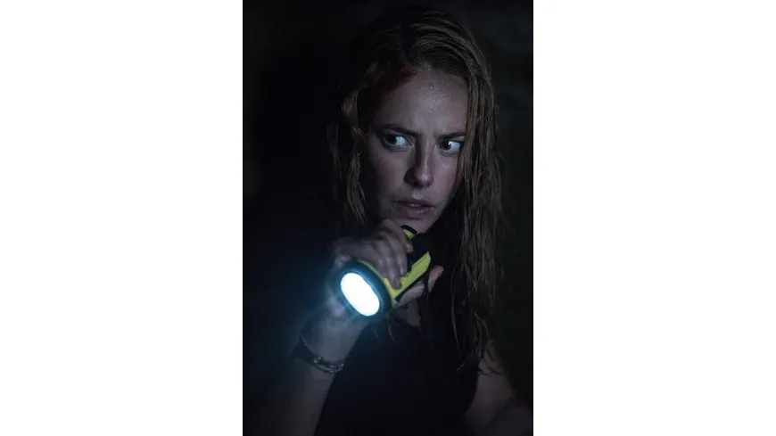 Crawl  (4K Ultra HD) (+ Blu-ray)