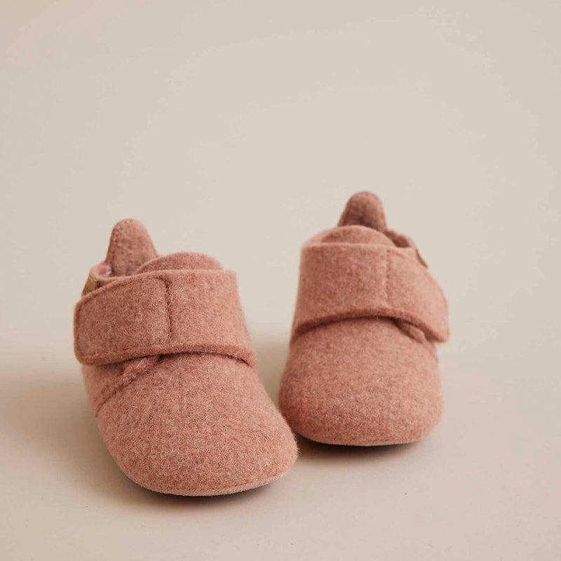 baby wool rose - Rose
