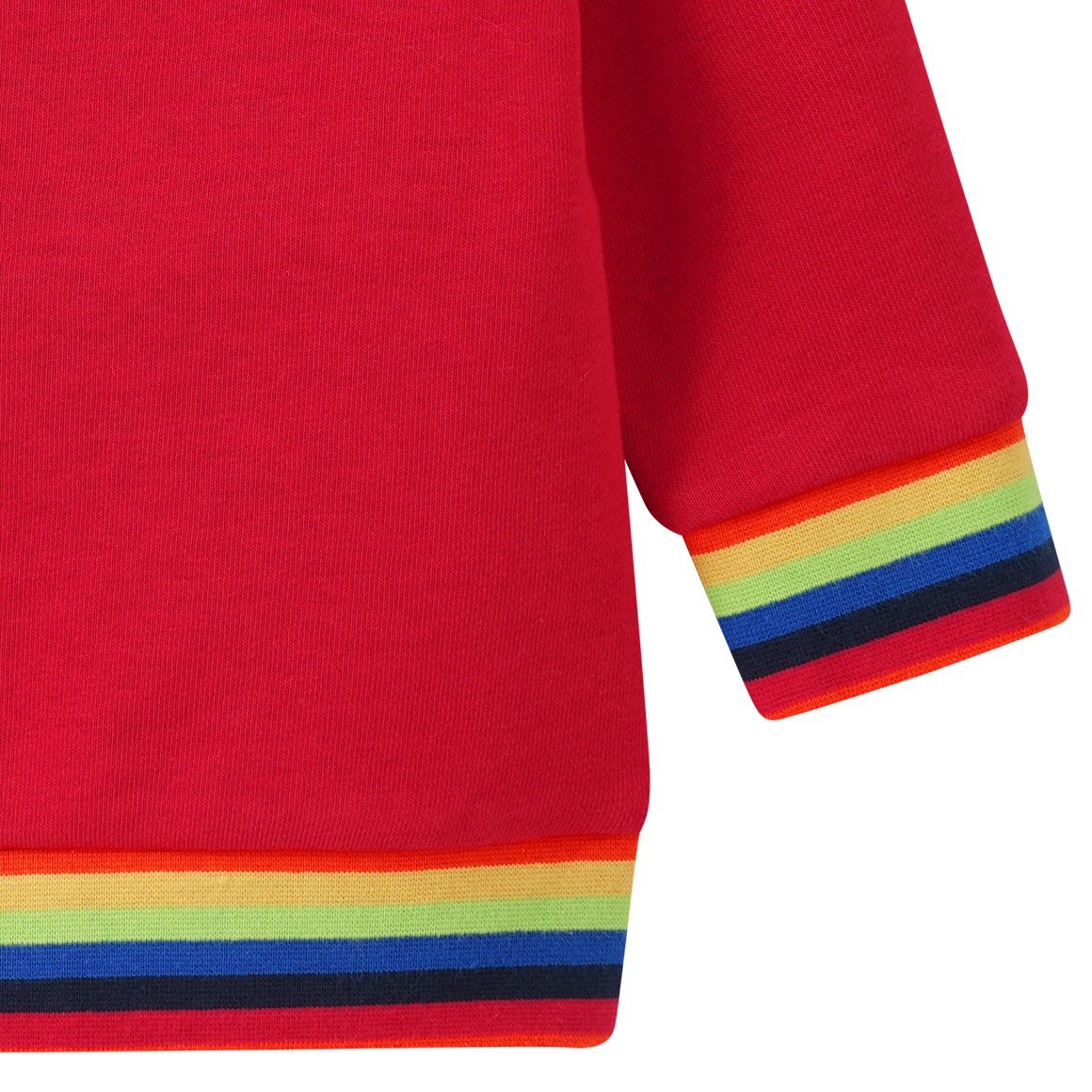 Baby Sweatshirt mit bunten Akzenten
