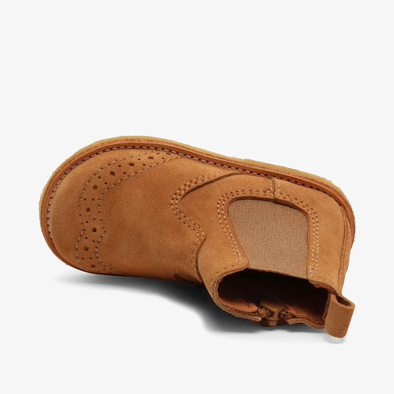 sus camel - Braun