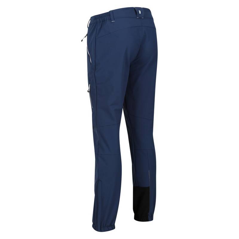 Regatta Mountain Wanderhose Herren