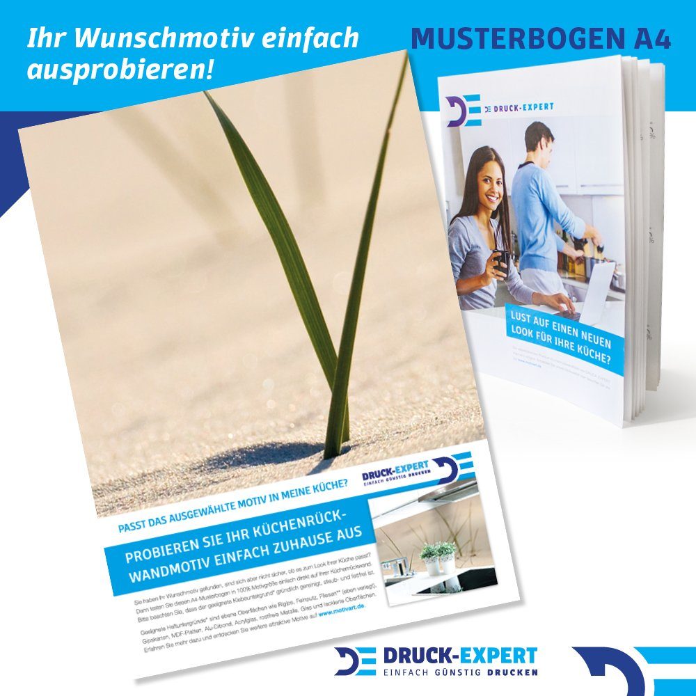 DRUCK-EXPERT Küchenrückwand Küchenrückwand Sand Gras Premium Hart-PVC 0,4 mm selbstklebend
